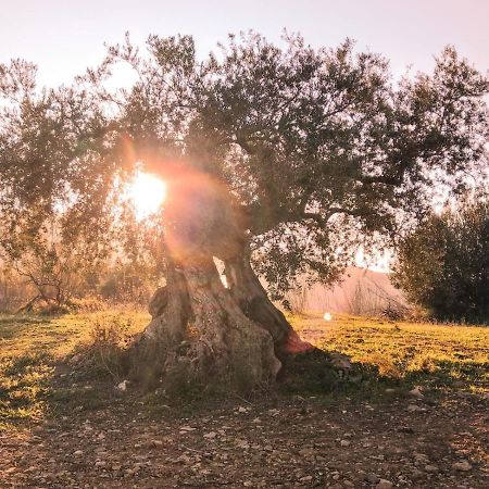 منزل الضيف كاسابيرميخا  في Biznaga المظهر الخارجي الصورة