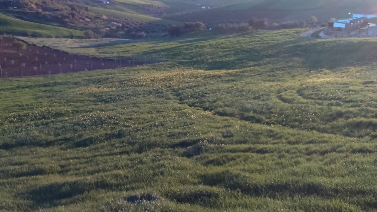 منزل الضيف كاسابيرميخا  في Biznaga المظهر الخارجي الصورة