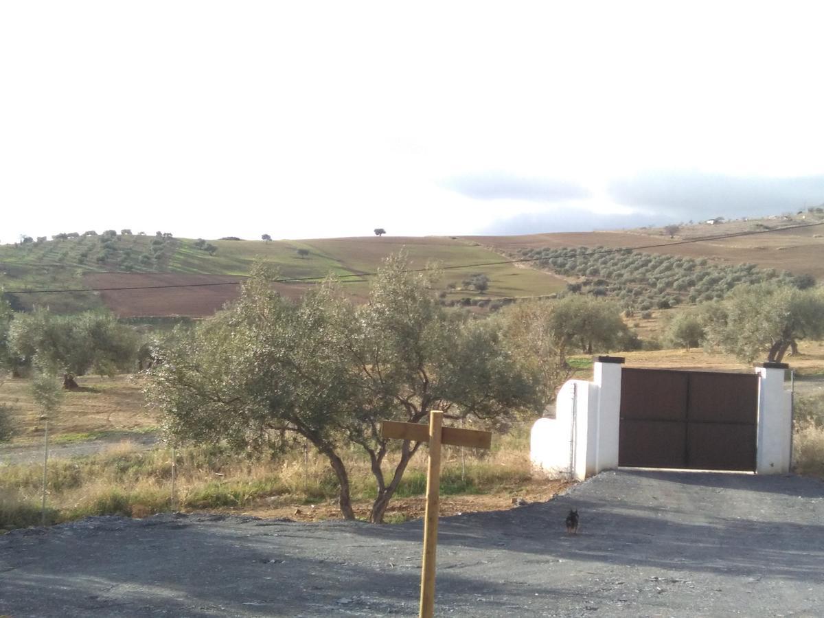 منزل الضيف كاسابيرميخا  في Biznaga المظهر الخارجي الصورة