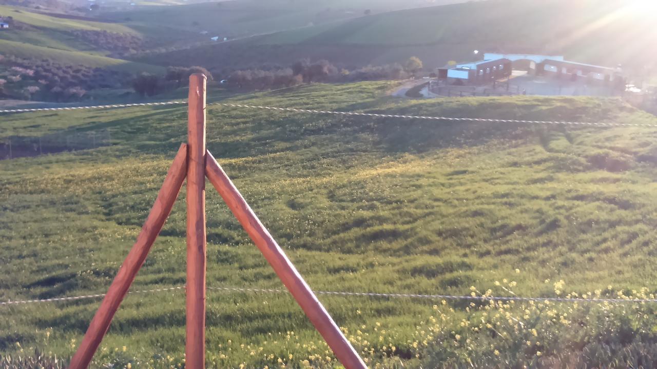 منزل الضيف كاسابيرميخا  في Biznaga المظهر الخارجي الصورة